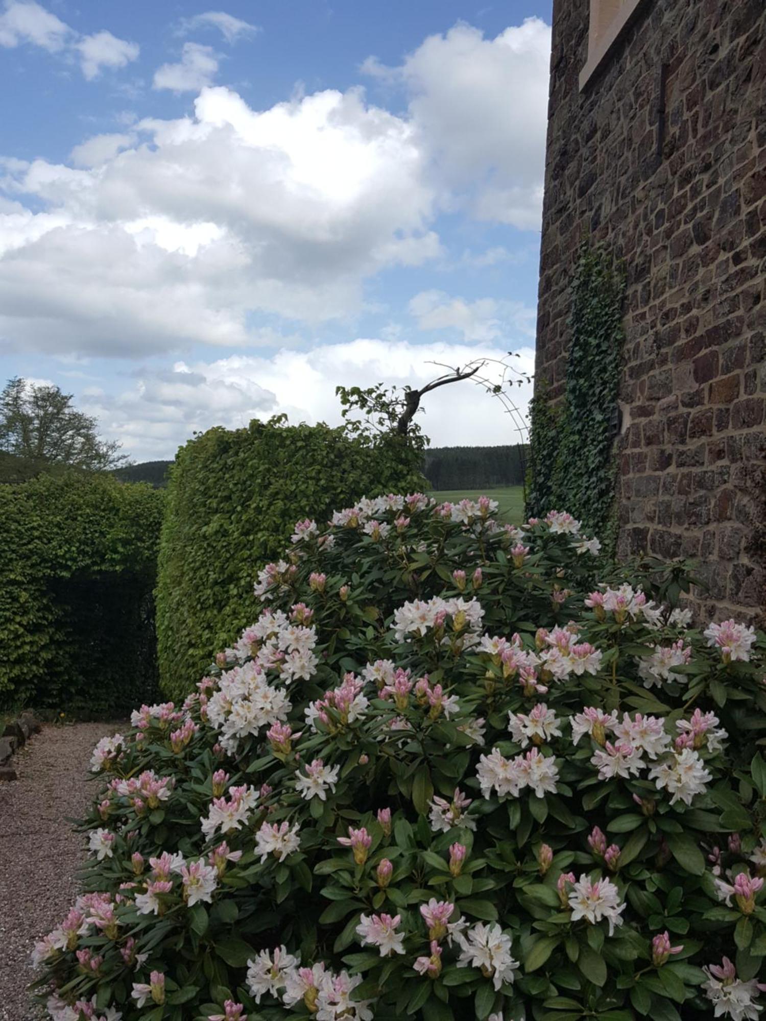 Die Alte Schule Haeuschen St. Vith Rom bilde